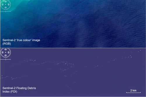 Comparison of true colour satellite image on top with bottom image showing Floating Debris INdex (FDI)